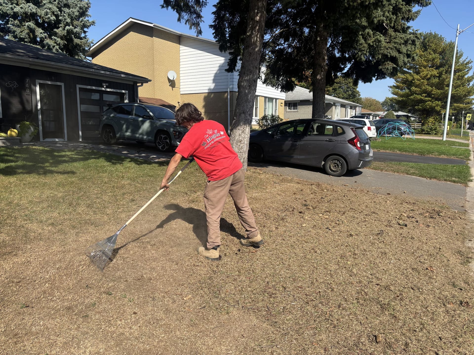 Crew member raking dead thatch out of a front lawn in a residential neighbourhood