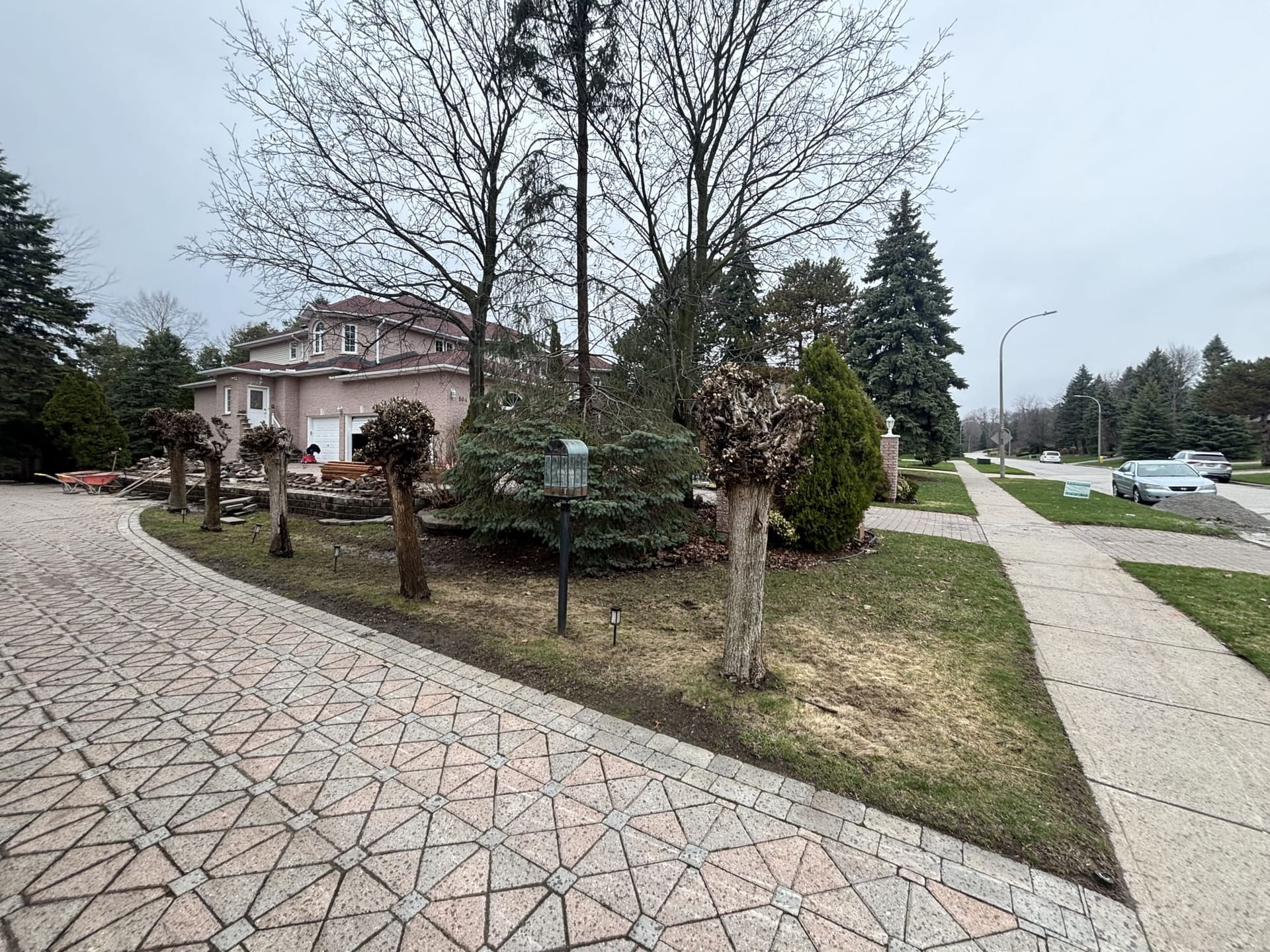 Pruned ornamental trees at a Durham Region property