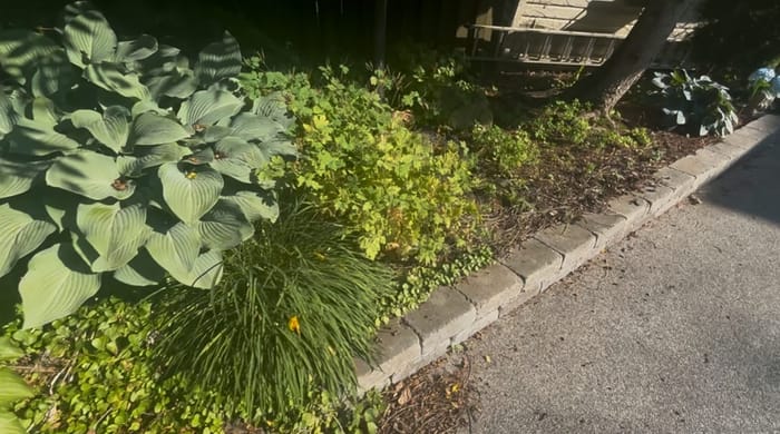 Before: retaining wall and bed edging install
